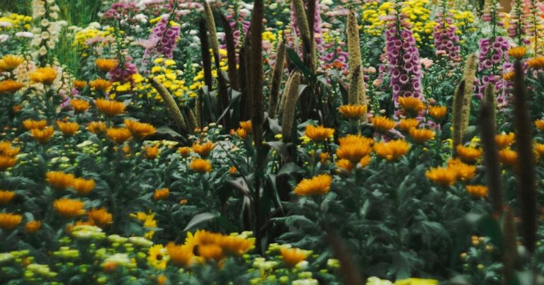 Twelve Non-Native Plants You Should Never Plant in Your Garden in August - Featured image