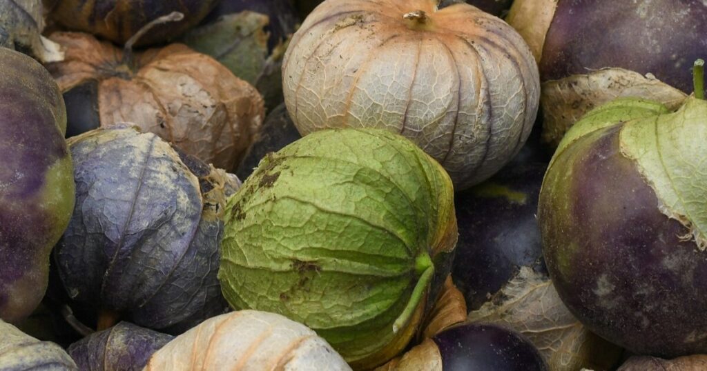 11 Gardening Mistakes To Avoid If You’re Growing Tomatillos - Featured image