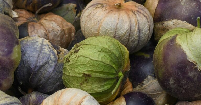 11 Gardening Mistakes To Avoid If You’re Growing Tomatillos - Featured image