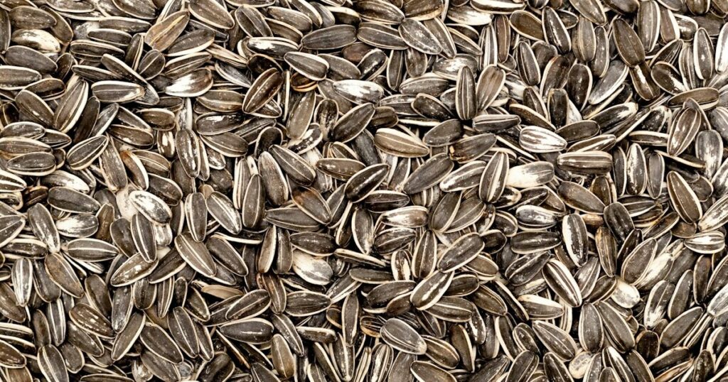 14 Late August Plants You Should Save Seeds From For Next Year - Featured image