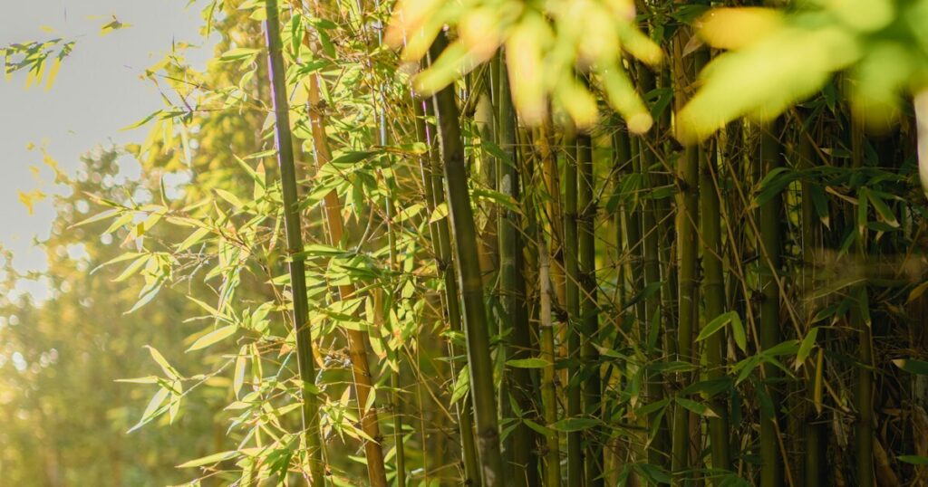 5 Plants Garden Centers Love Selling That Will Destroy Your Yard - Featured image