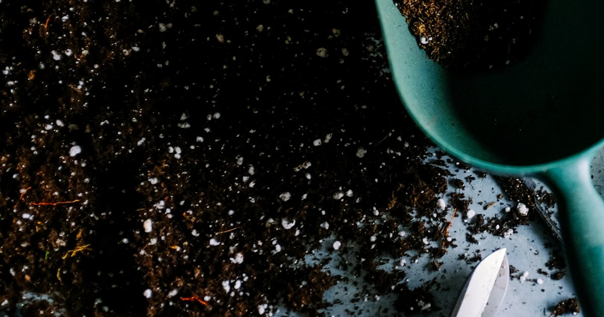 8 Reasons Why Ashes Are Great For Compost