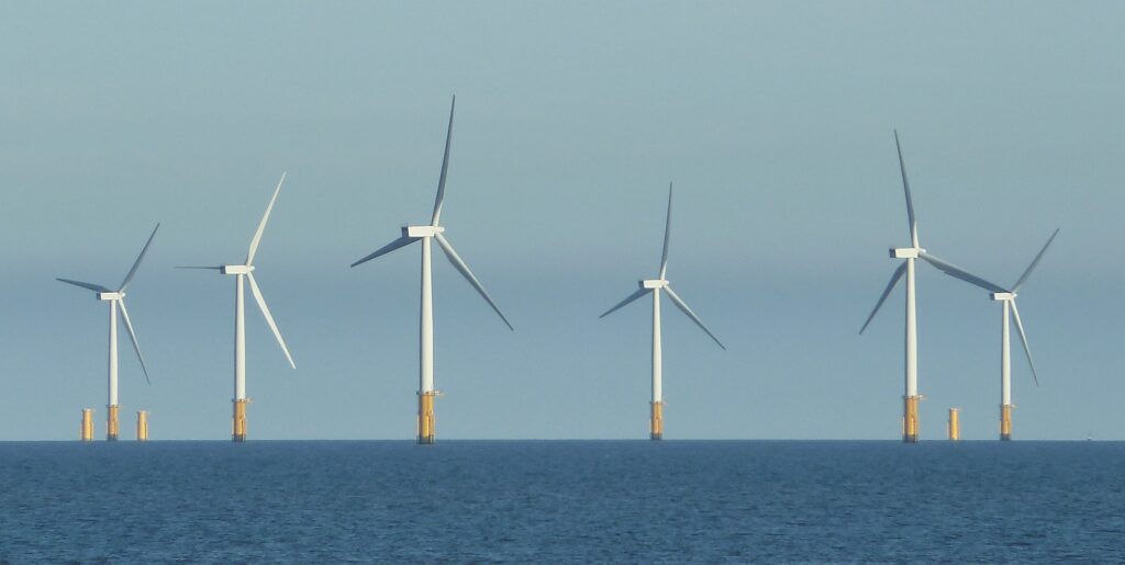 Studies: Wind Turbines Don’t Hurt Whales — But Oil & Gas Drilling Does - Featured image