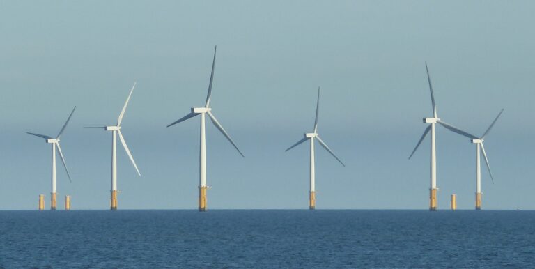 Studies: Wind Turbines Don’t Hurt Whales — But Oil & Gas Drilling Does - Featured image