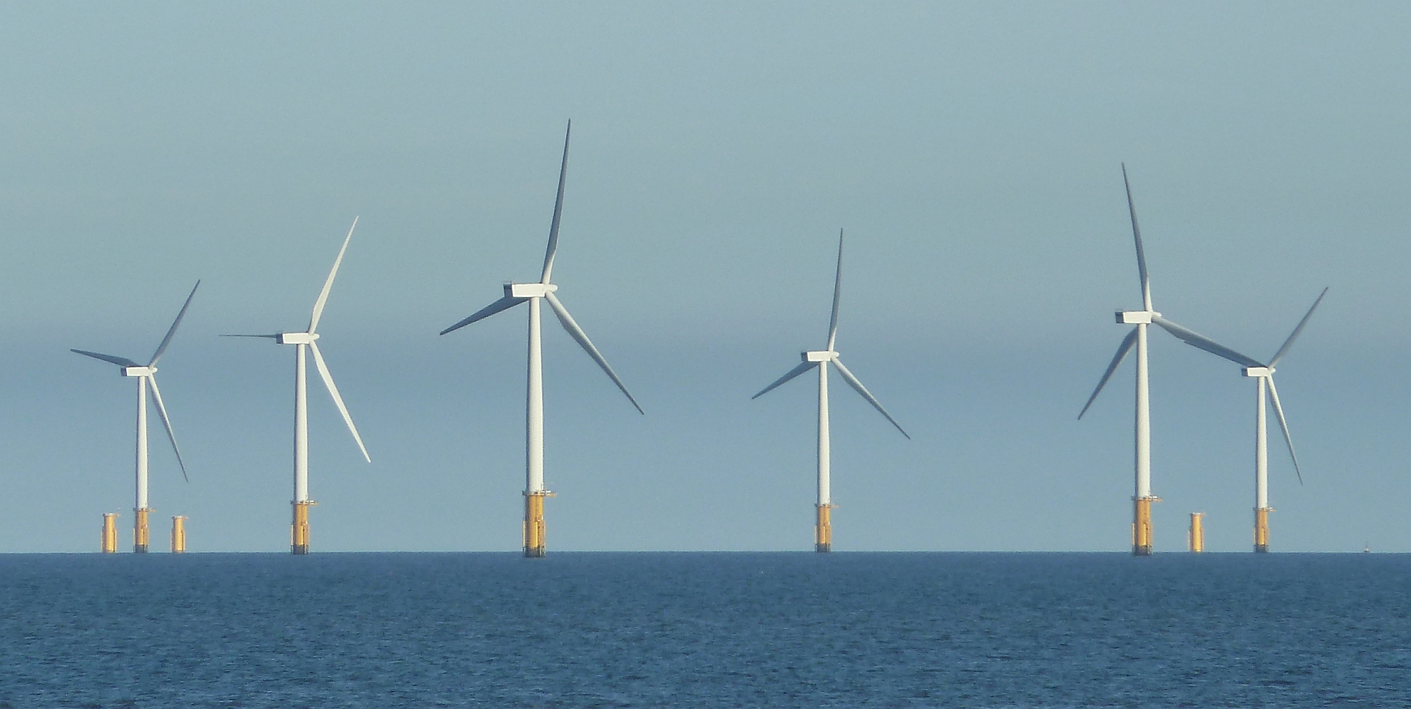 Studies: Wind Turbines Don’t Hurt Whales — But Oil & Gas Drilling Does