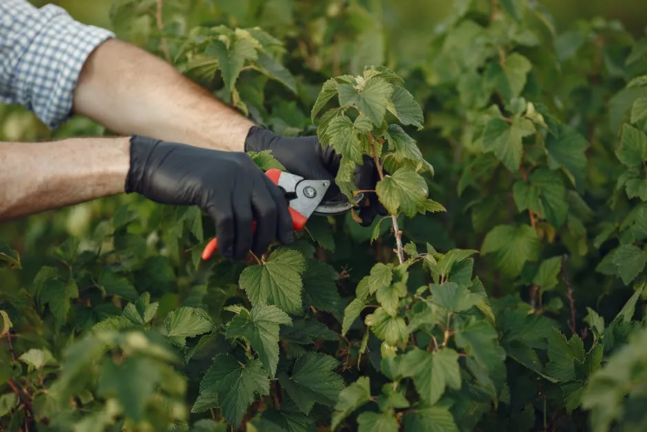 The Essential Mid-Summer Pruning Ritual Most Gardeners Skip