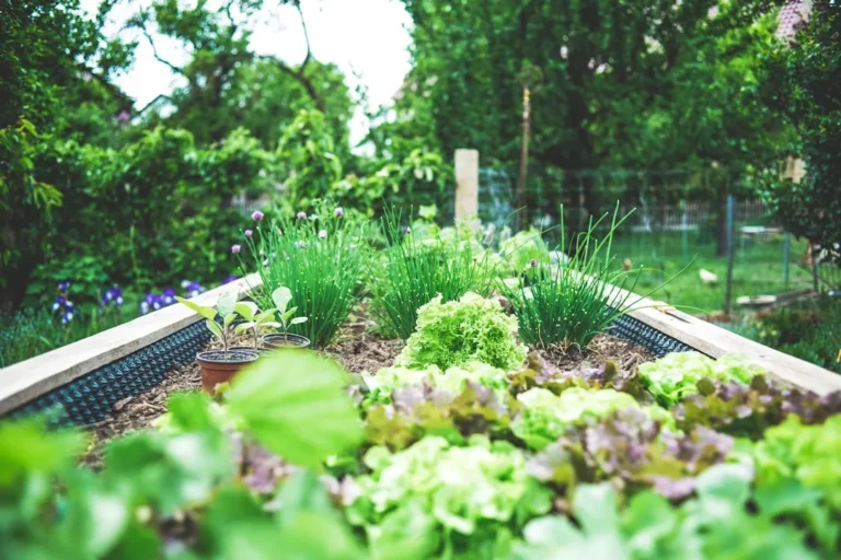 Why Your Backyard Herbs Taste Better When You Cut Back on Fertilizer - Featured image