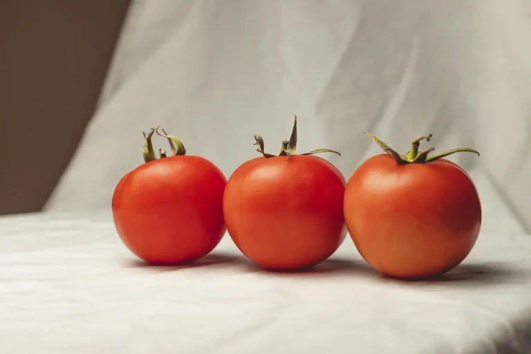Preserve Tomatoes by Freezing, Canning, and Drying - Featured image