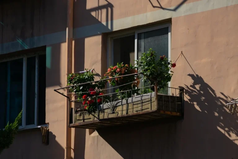 5 Potted Vegetables That Are Perfect for Small Balconies and Patios - Featured image