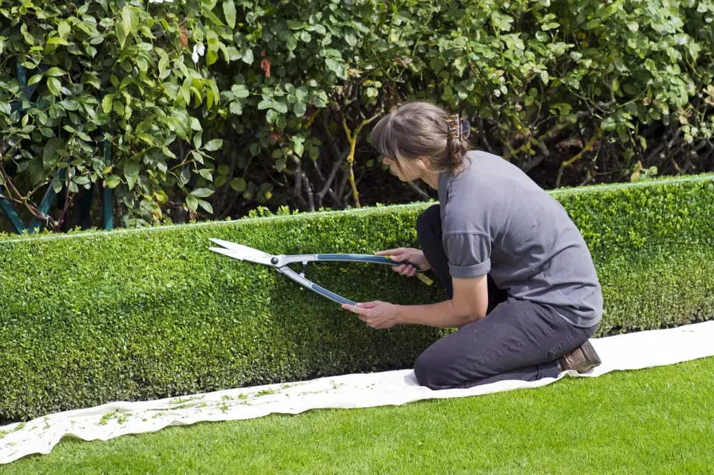 The 3-Step Process for Sharpening Your Pruning Shears Like a Pro - Featured image