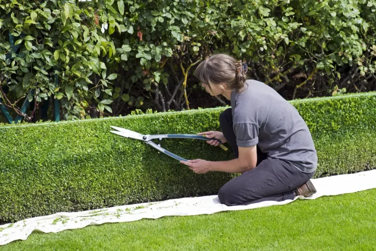 The 3-Step Process for Sharpening Your Pruning Shears Like a Pro - Featured image
