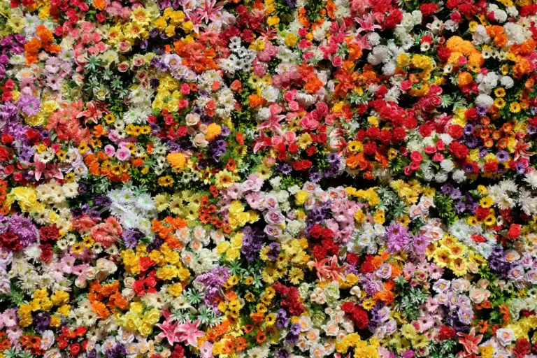 Easy Seed Saving Rewards Flower Gardeners Year After Year - Featured image