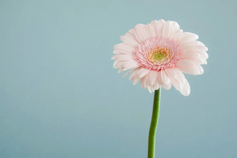 The Simple Tricks That Keep Cut Flowers Fresh for Twice as Long - Featured image
