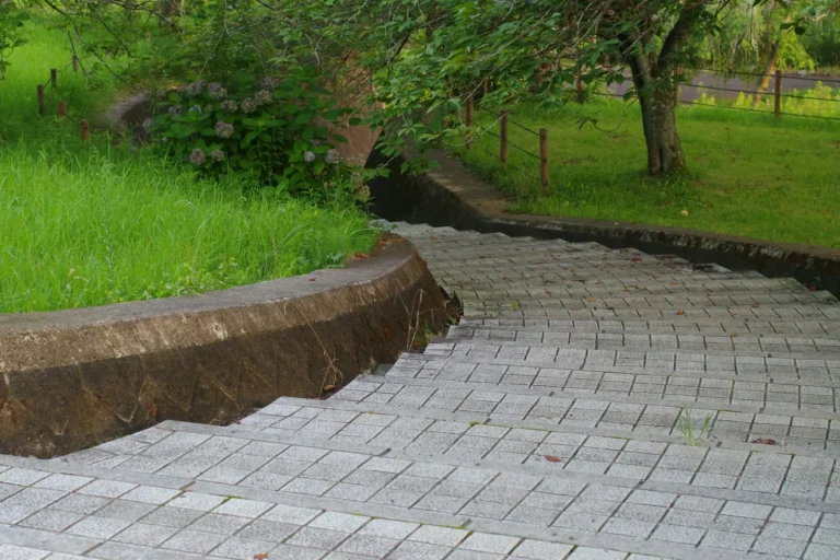 Paver Edging Makes Backyard Gardens Look Professionally Finished - Featured image