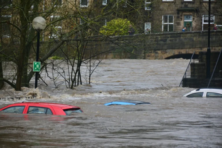 Storm Goretti Struck Cornwall in January. Six Months Later, Gardens Are Finding New Light - Featured image