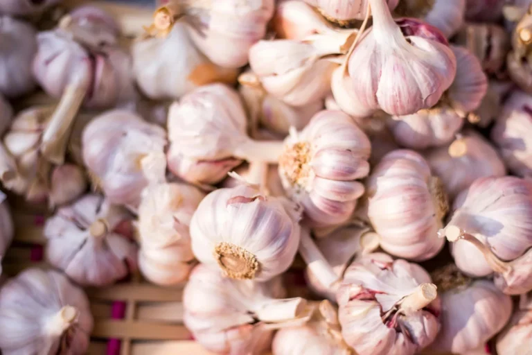 Garlic Shelf Life: Bulbs Versus Cloves and Signs of Spoilage - Featured image