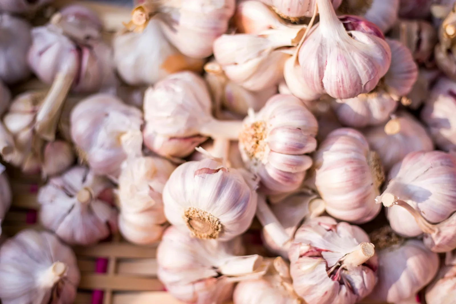 Garlic Shelf Life: Bulbs Versus Cloves and Signs of Spoilage