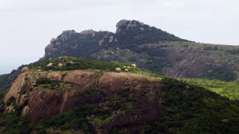 Budget-Friendly Landscaping Unlocks Potential of Steep Hillsides - Featured image