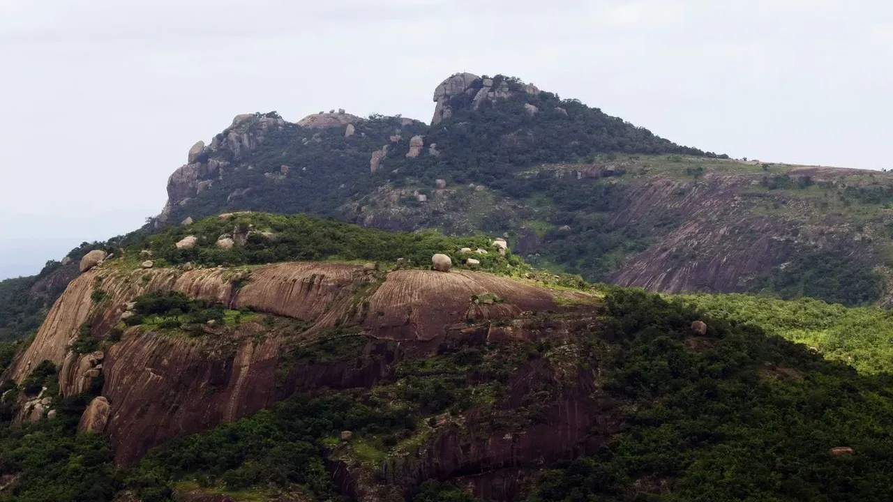 Budget-Friendly Landscaping Unlocks Potential of Steep Hillsides