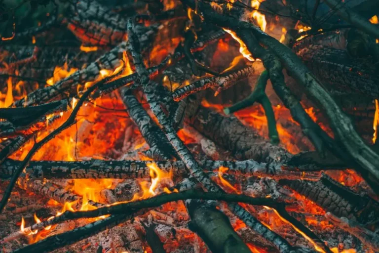 The Surprising Reason Wood Ash From Your Fireplace Belongs in Your Garden - Featured image