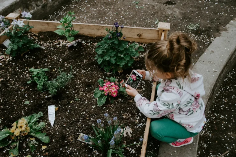 AI Apps for Gardening Deliver Mixed Results on Plant Identification and Care - Featured image