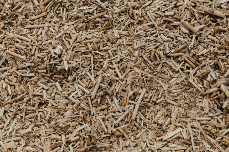 The Strategic Way to Use Light-Colored Mulch to Cool Down Hot Urban Garden Beds - Featured image