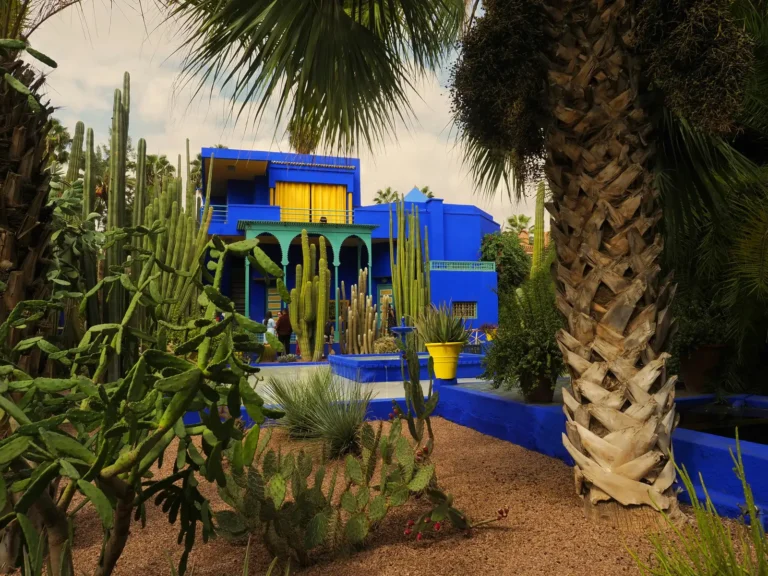 Jardin Majorelle in Marrakesh: Where Artistic Design Shapes an Exotic Plant Collection - Featured image