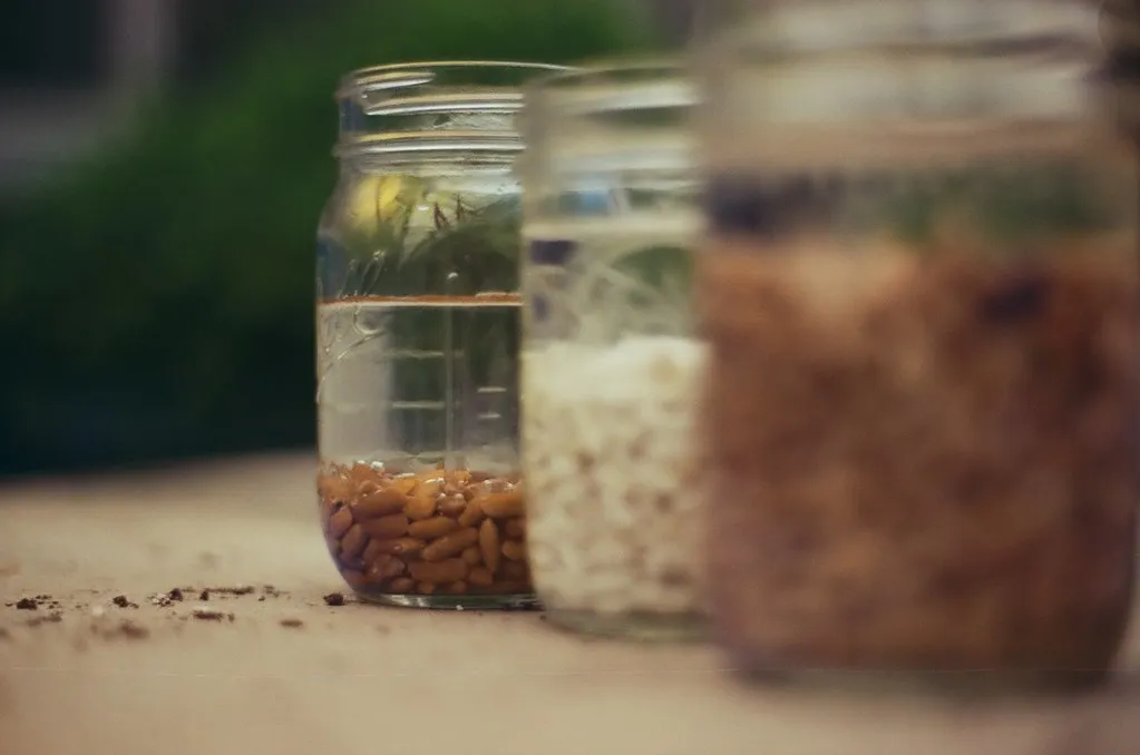 Backyard Gardener Unearths Century-Old Mason Jar Stash Filled With Pristine Heirloom Seeds - Featured image