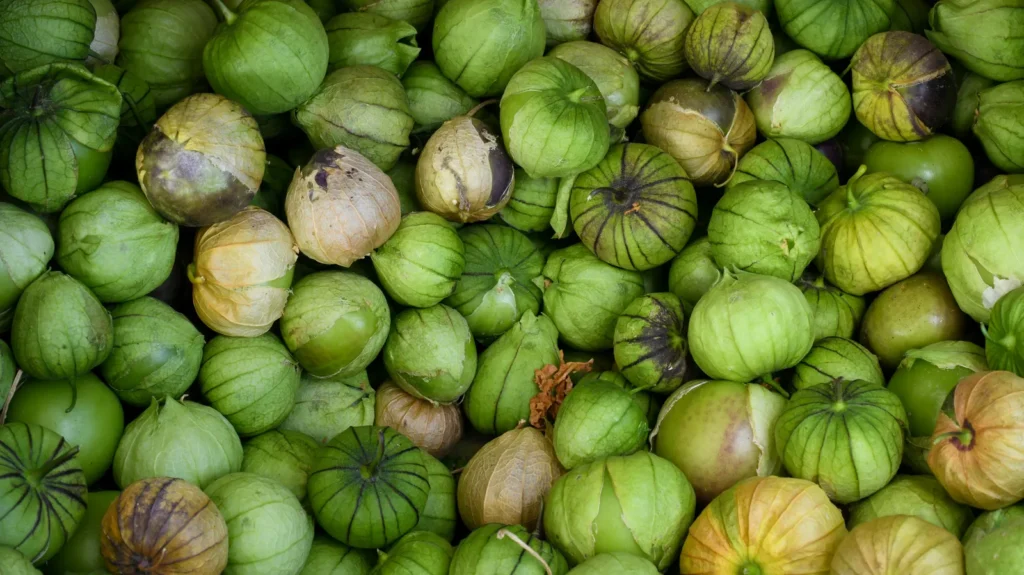 Why Tomatillo Plants Often Produce Empty Husks and How to Encourage Fruit - Featured image