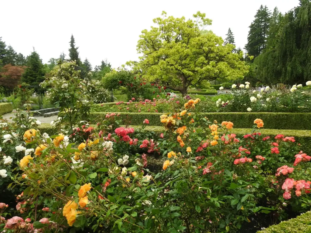 Inside Chicago Botanic Garden's Premier Plant Trials - Featured image