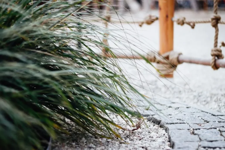 How to Create a Beautiful, Low-Maintenance Gravel Garden That Thrives on Neglect - Featured image