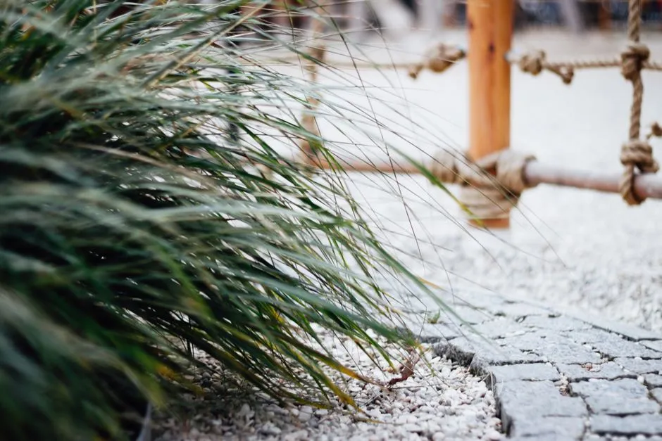How to Create a Beautiful, Low-Maintenance Gravel Garden That Thrives on Neglect - Featured image