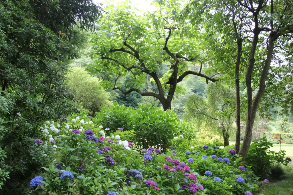 New Homeowners Risk Losing Valuable Plants by Clearing Perennial Gardens Too Soon - Featured image