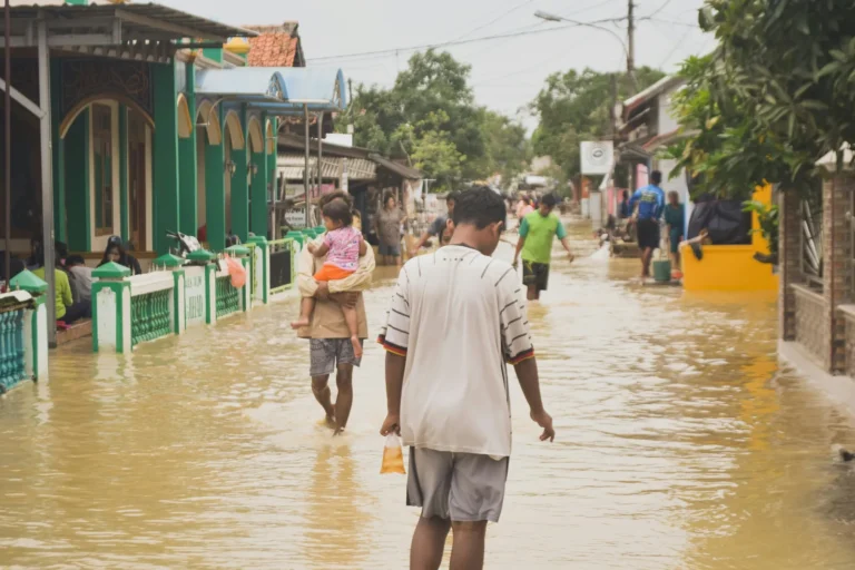 Tropical Storm Boris Forms, Posing Heavy Rain Flooding Threat to Gardens - Featured image