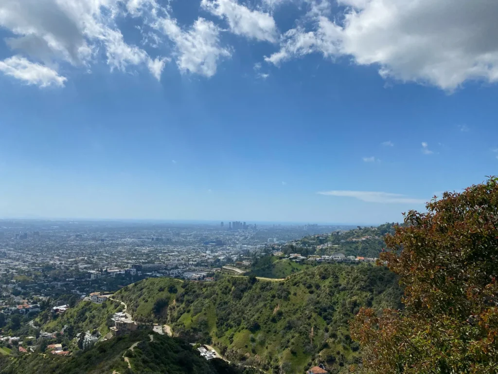 Residents Turn San Vicente Boulevard Into Los Angeles Park - Featured image
