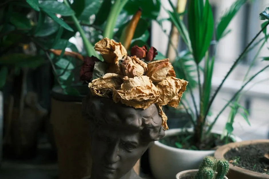 How to Use a Simple Chopstick to Check the Moisture Level of Deep Houseplant Roots - Featured image
