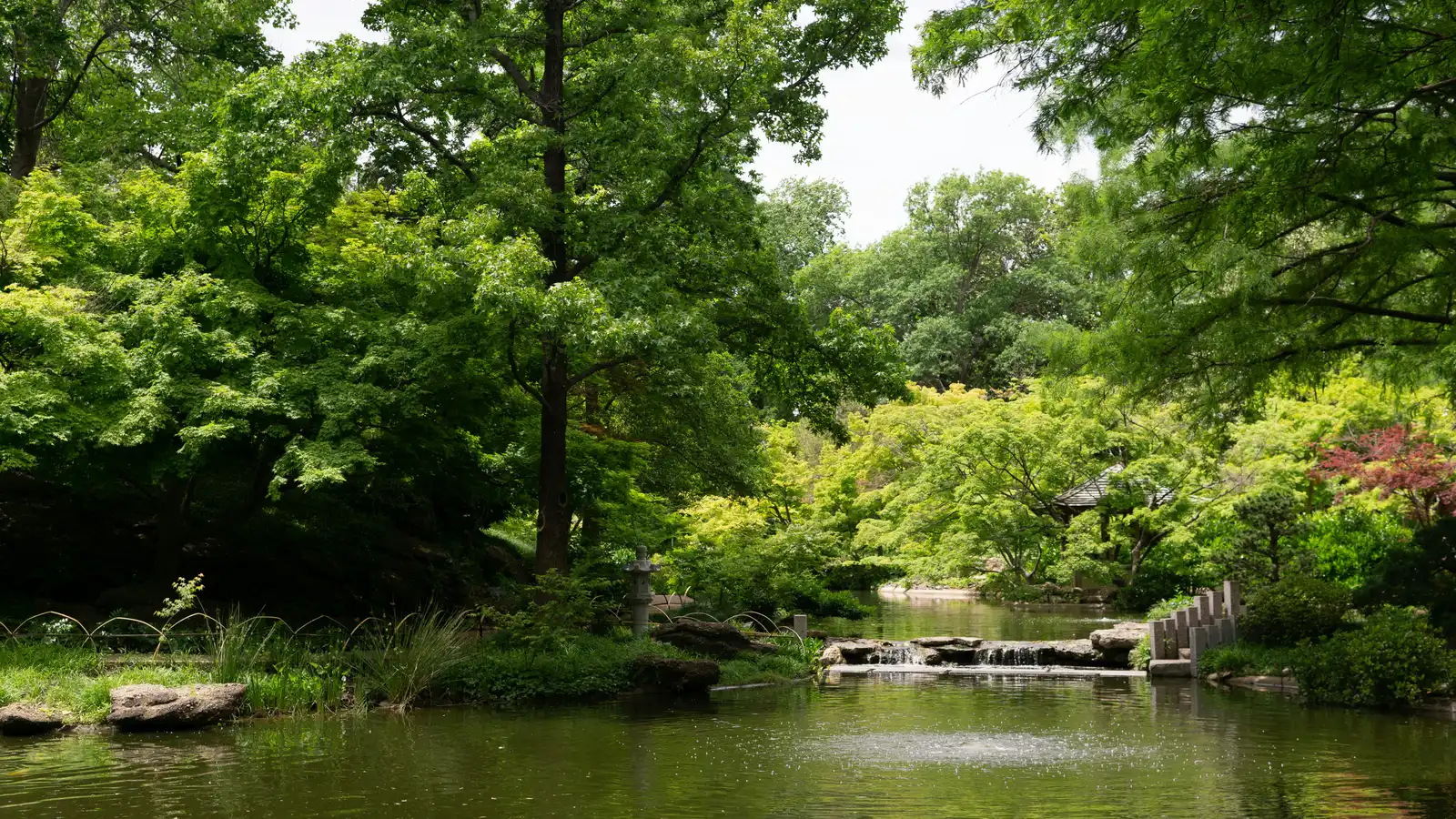 Joy That Endures: A Texas Gardener’s Outdoor Space Through Life’s Changes