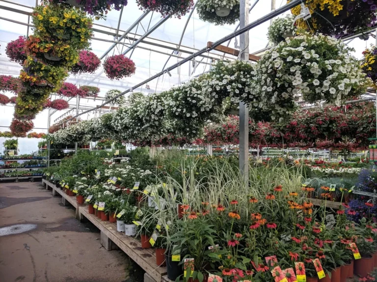 5 Beautiful Flowers You Should Plant Right Next to Your Vegetables to Keep Pests Away - Featured image