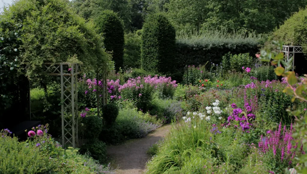 Narrow Garden Success: What a Designer Learned from His Own Project - Featured image
