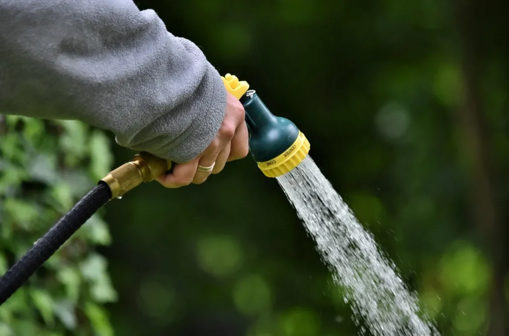 10 Common Watering Mistakes That Are Secretly Rotting Your Plant Roots - Featured image