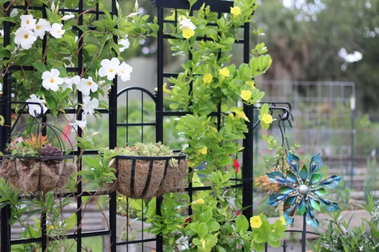 The Best Ways to Repair and Reinforce a Sagging Garden Trellis - Featured image