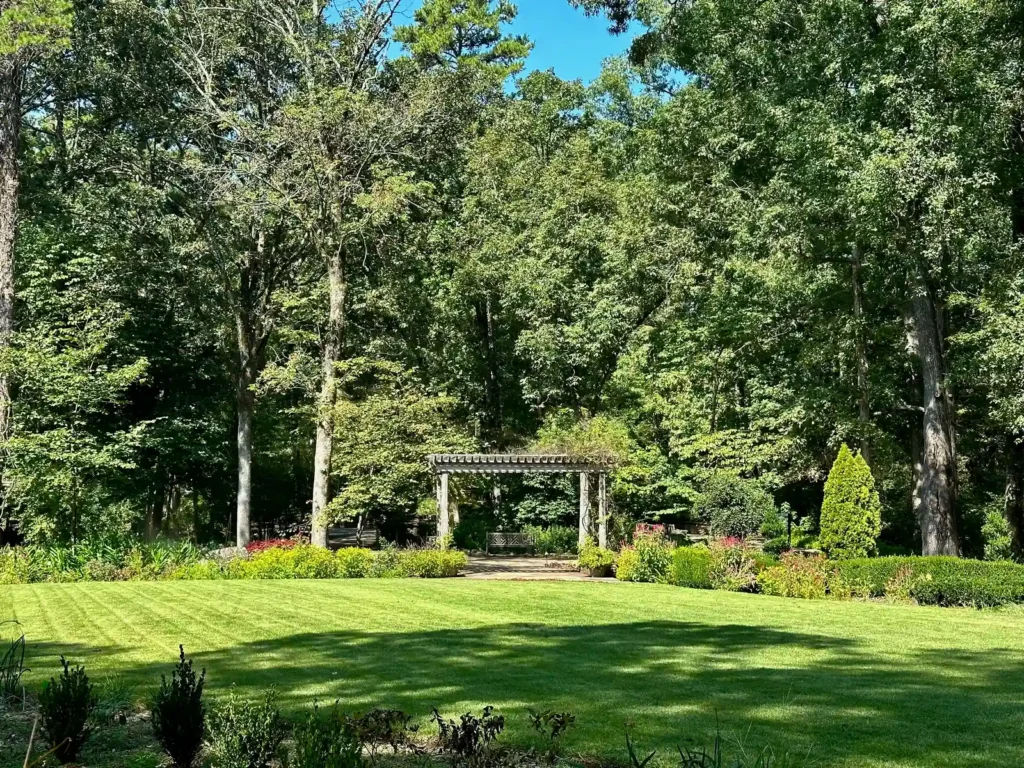 Atlanta Wild Land Transforms into Spring Woodland Garden - Featured image
