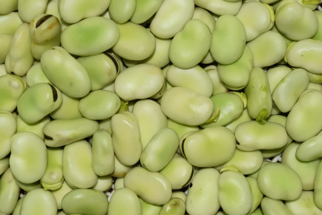 The One Trick That Lets You Skip the Most Tedious Step of Shelling Fava Beans - Featured image