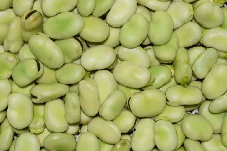 The One Trick That Lets You Skip the Most Tedious Step of Shelling Fava Beans - Featured image