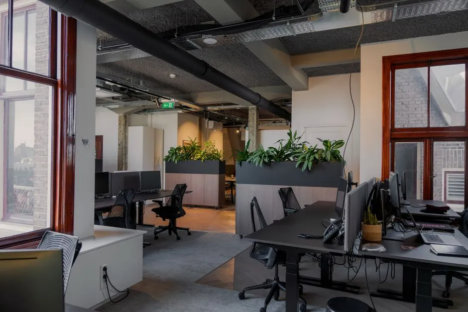 The Hidden Meaning Behind Your Favorite Office Desk Plant