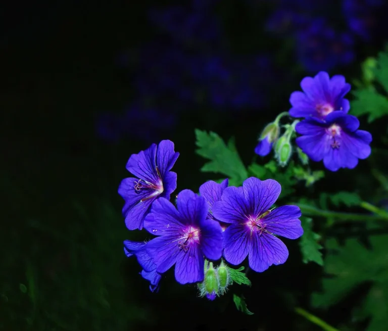 6 Fragrant Night-Blooming Plants That Will Transform Your Evening Garden - Featured image