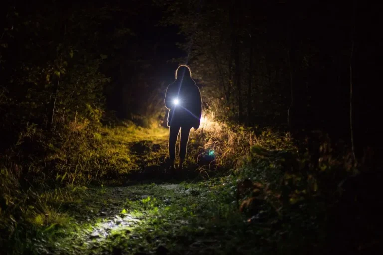 The Nighttime Flashlight Routine That Can Save Your Garden From Tomato Hornworms - Featured image
