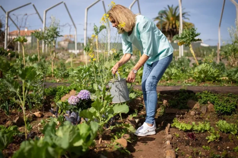 7 Vegetables That Actually Produce More When You Ignore Them Completely - Featured image