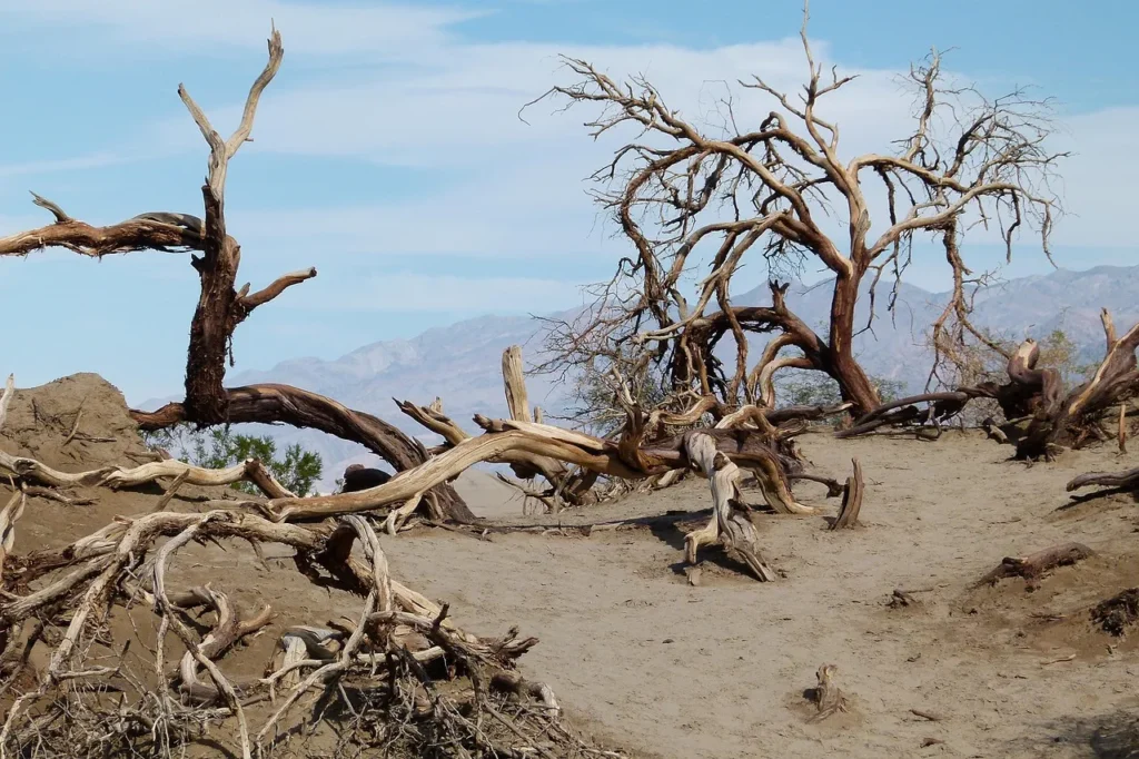 Are You "Over-Mulching"? 4 Ways You're Accidentally Suffocating Your Trees - Featured image