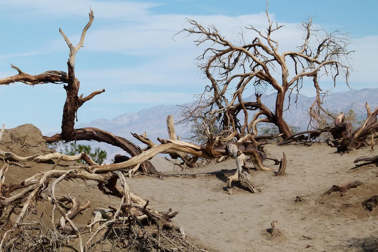 Are You "Over-Mulching"? 4 Ways You're Accidentally Suffocating Your Trees